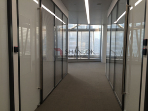 Double Glass With Built-in Venetian Blinds Series